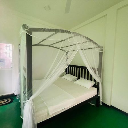 Why Not Backpackers Hostel Mirissa Ngoại thất bức ảnh