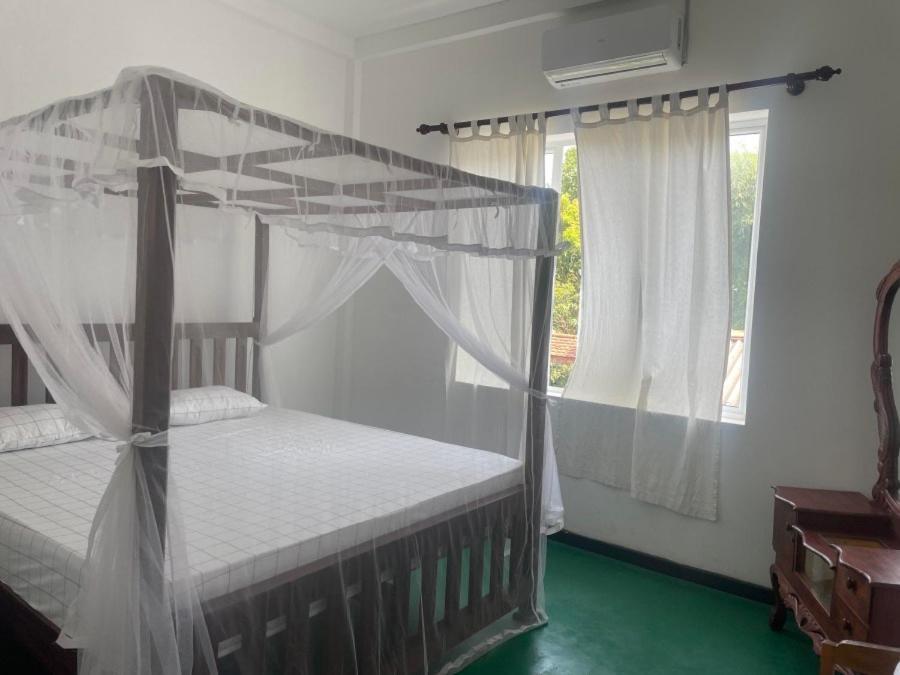 Why Not Backpackers Hostel Mirissa Ngoại thất bức ảnh