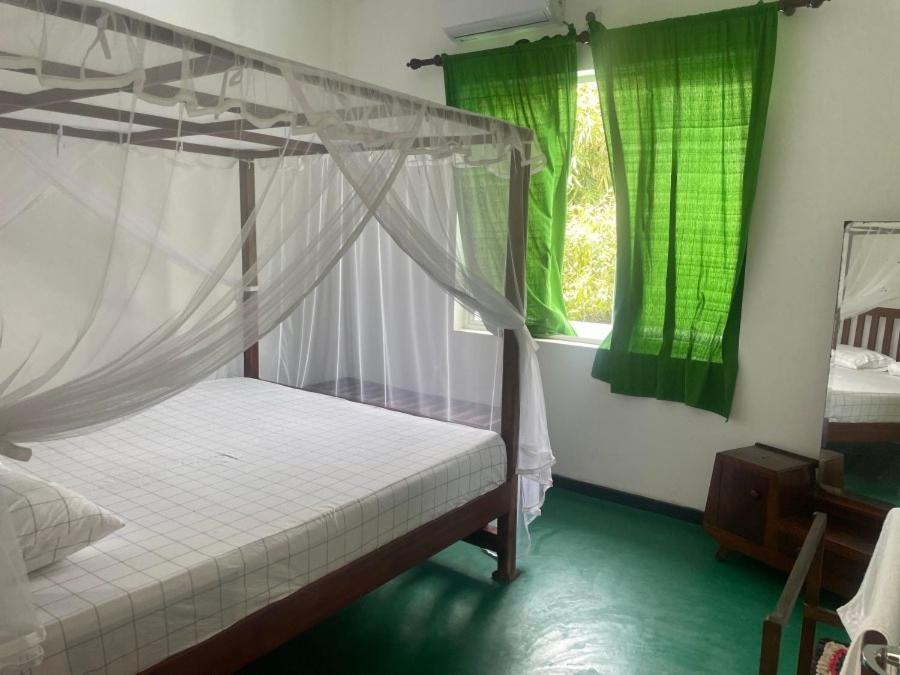 Why Not Backpackers Hostel Mirissa Ngoại thất bức ảnh