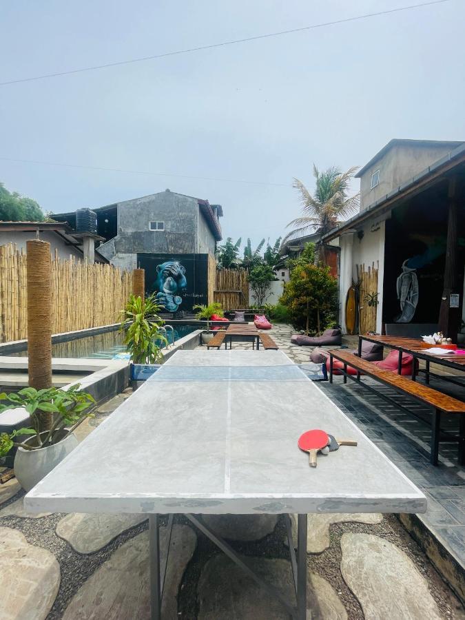 Why Not Backpackers Hostel Mirissa Ngoại thất bức ảnh