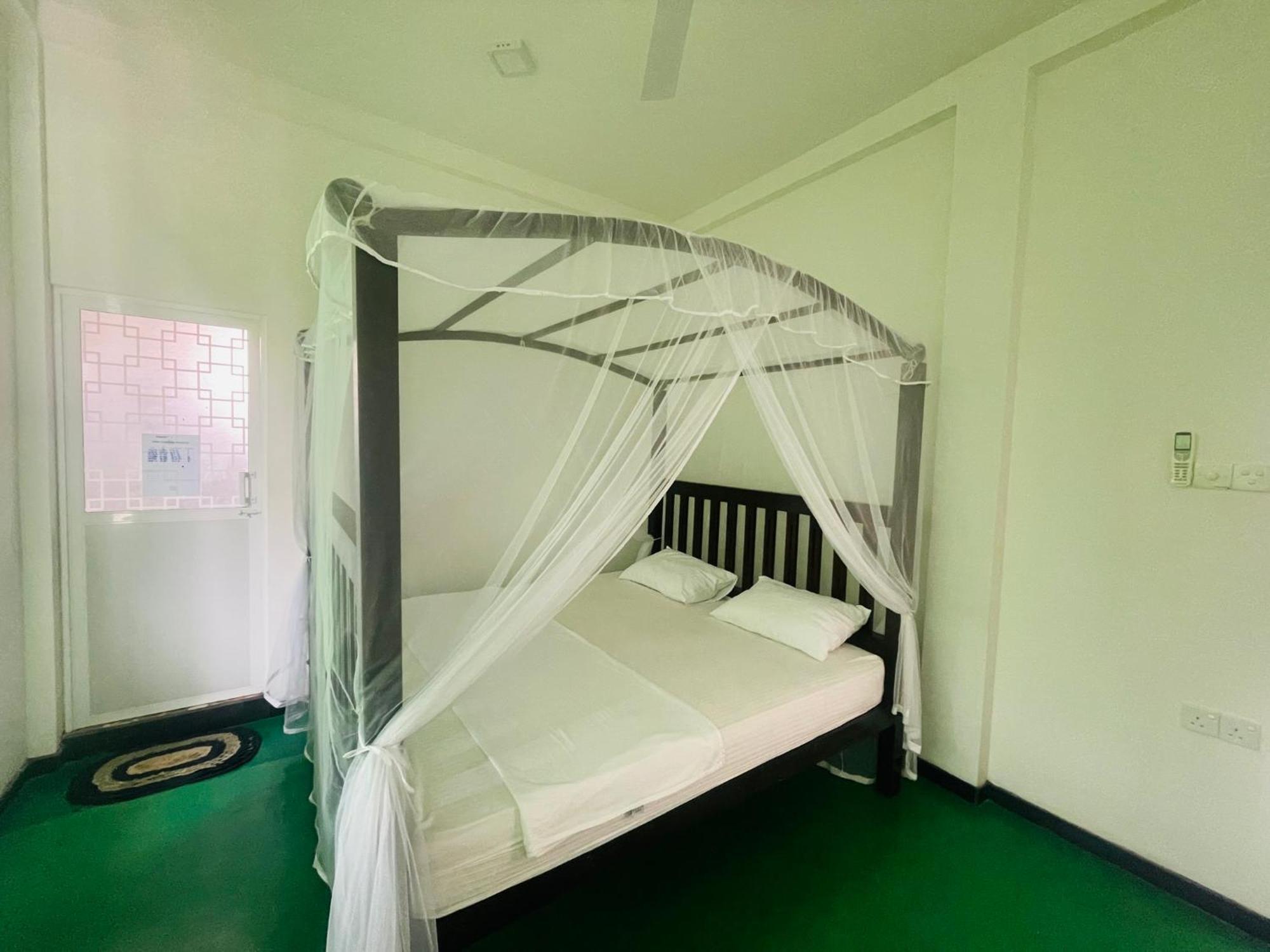 Why Not Backpackers Hostel Mirissa Ngoại thất bức ảnh