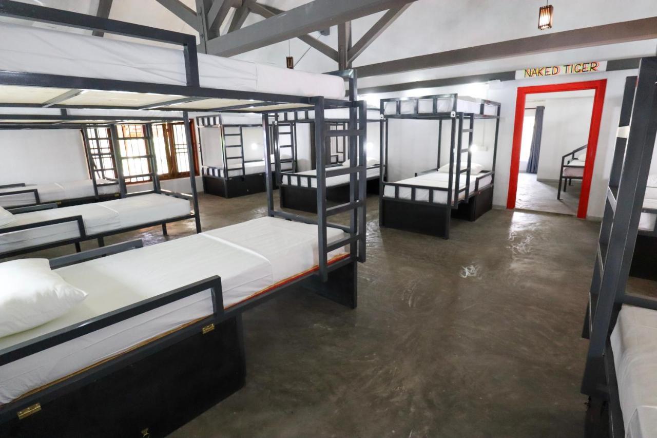 Why Not Backpackers Hostel Mirissa Ngoại thất bức ảnh