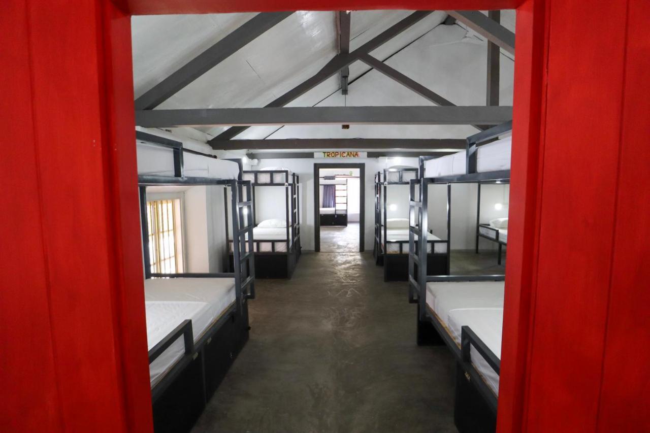 Why Not Backpackers Hostel Mirissa Ngoại thất bức ảnh