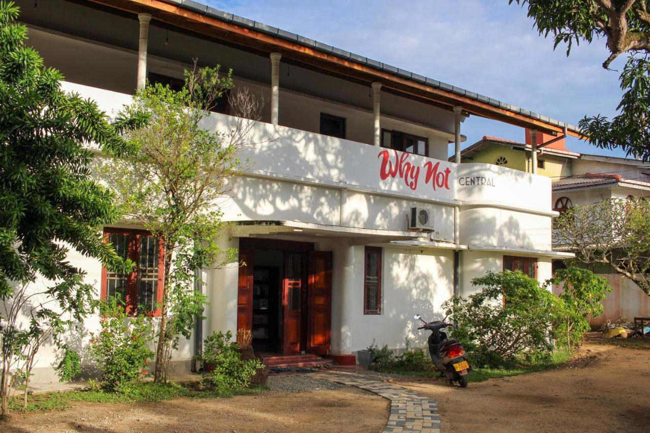 Why Not Backpackers Hostel Mirissa Ngoại thất bức ảnh