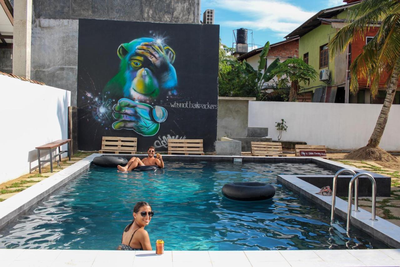 Why Not Backpackers Hostel Mirissa Ngoại thất bức ảnh