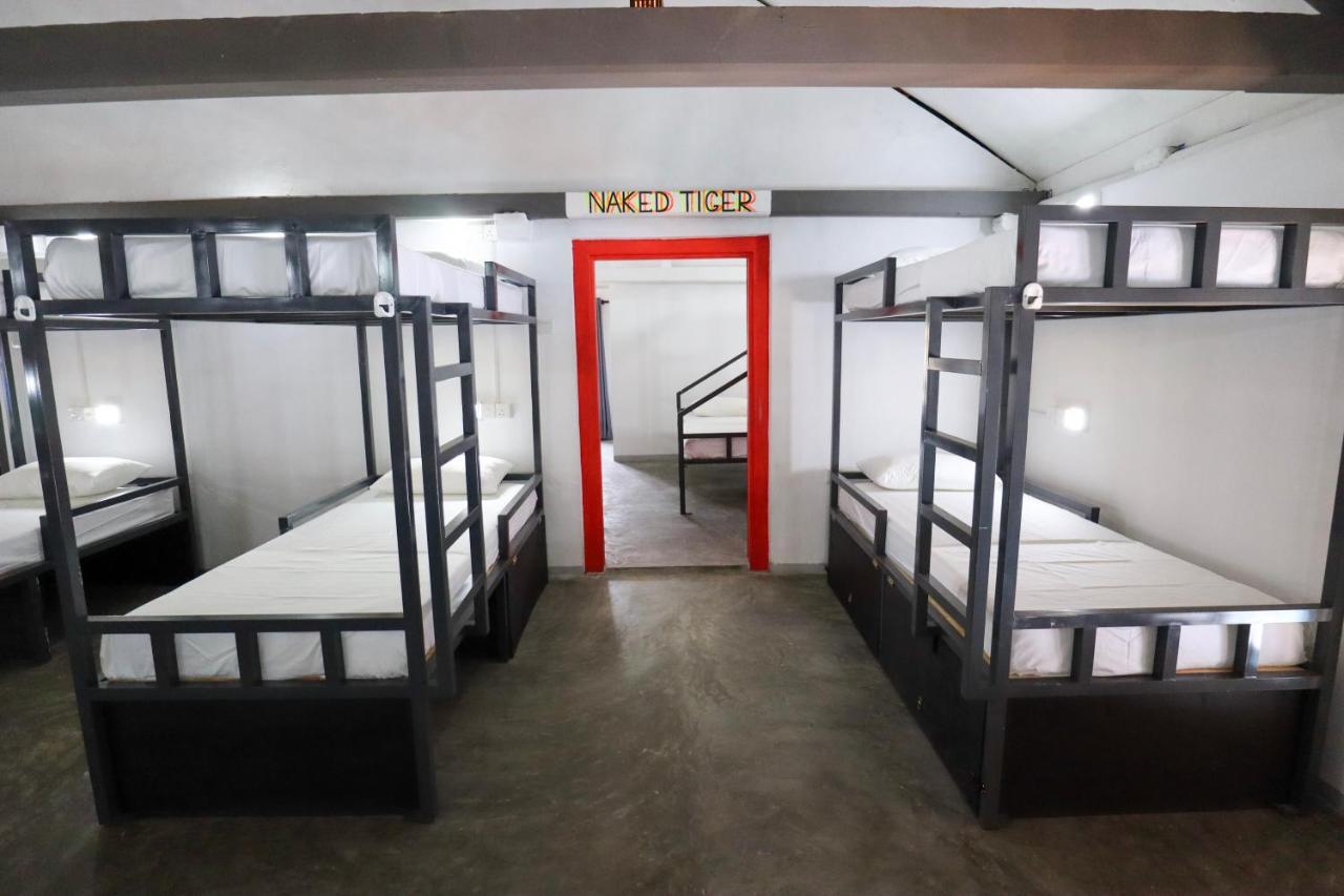 Why Not Backpackers Hostel Mirissa Ngoại thất bức ảnh